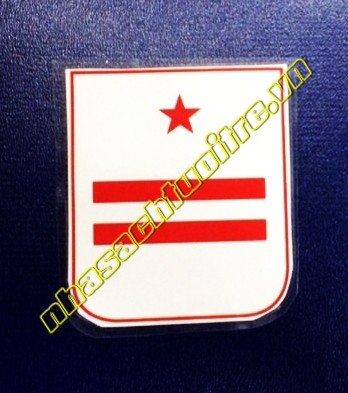 Cấp Hiệu Đội - Chi Đội Phó Cấp Hiệu Đội - Chi Đội Phó