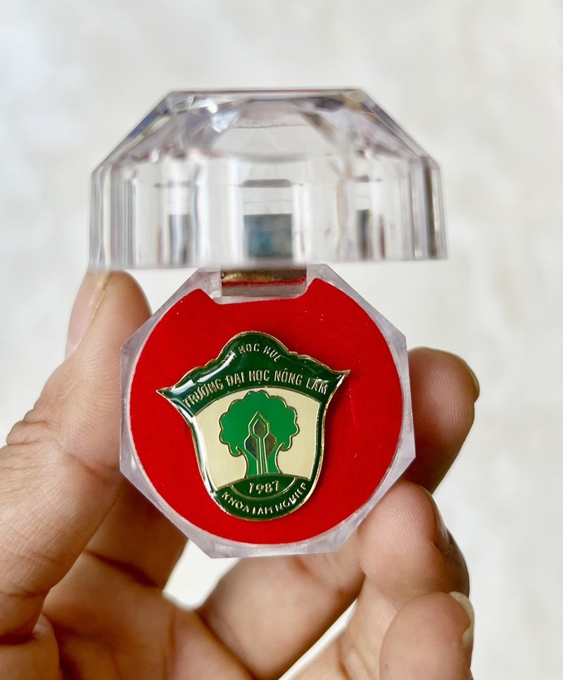 Huy Hiệu Ăn Mòn - Đại Học Huế Huy Hiệu Ăn Mòn - Đại Học Huế