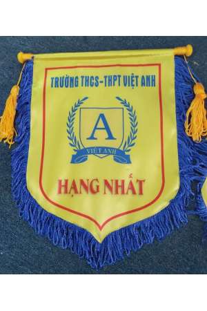 Trường THCS - THPT Việt Anh