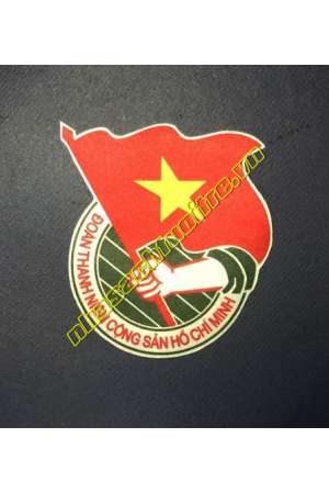 Logo Ủi - Đoàn TNCS HCM