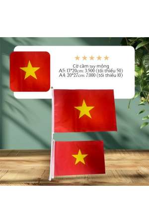 Cờ cầm tay VN (vải mỏng)
