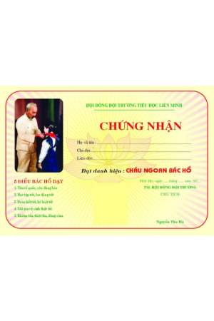 Giấy Chứng Nhận Cháu Ngoan Bác Hồ - Mẫu 01