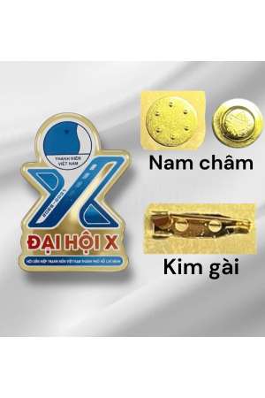 Huy hiệu đại hội hội LHTN - Đồng thau
