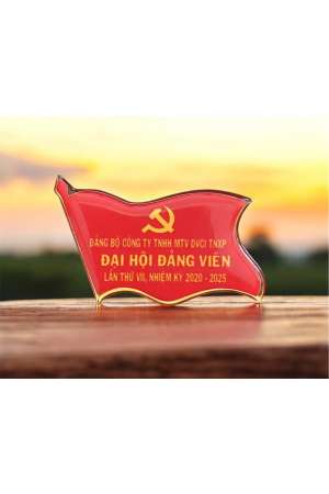 Huy hiệu lá cờ inox