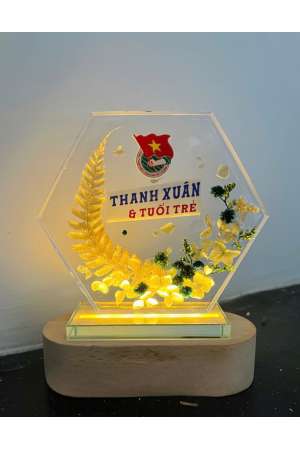 KNC Mica - Đế gỗ có đèn