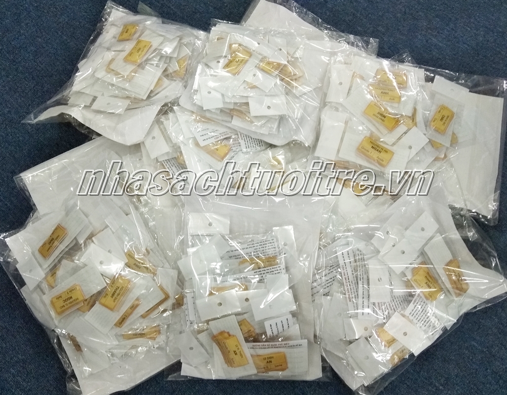 Trường Quốc Tế Mỹ 2018 Trường Quốc Tế Mỹ 2018