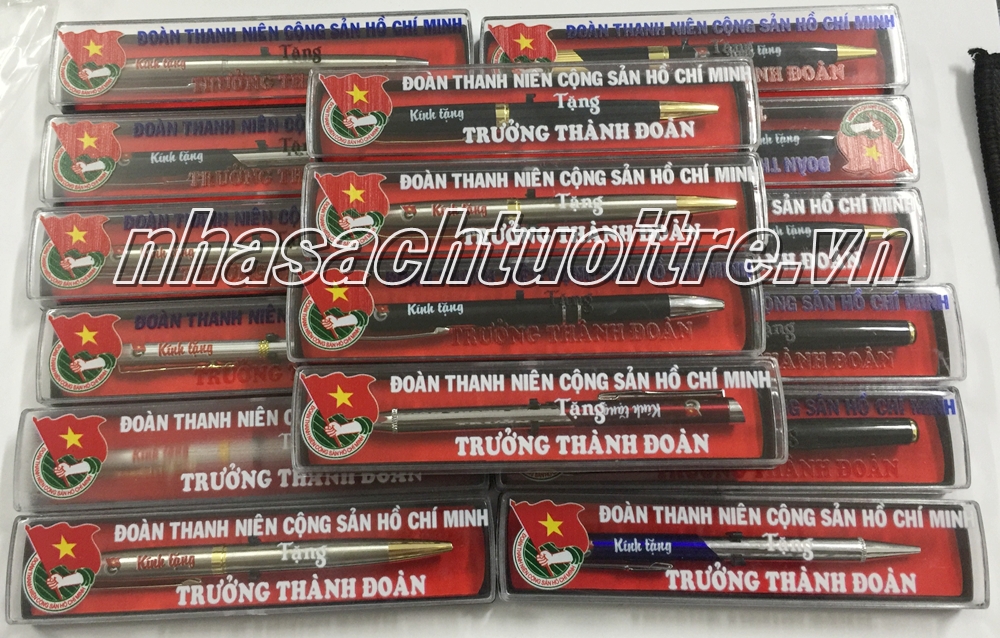 Trưởng Thành Đoàn 04 Trưởng Thành Đoàn 04